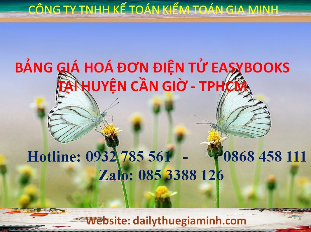 bảng giá hoá đơn điện tử easybooks tại Huyện Cần Giờ - TPHCM