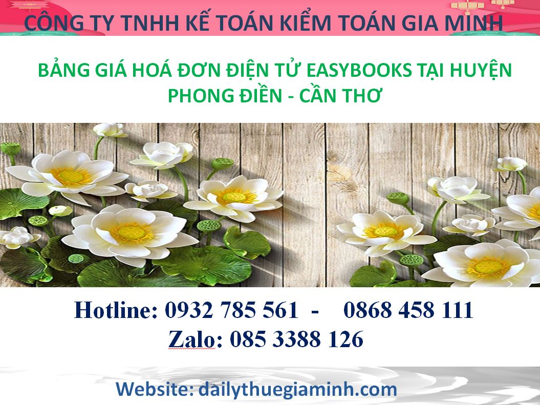 bảng giá hoá đơn điện tử easybooks tại Huyện Phong Điền - Cần Thơ
