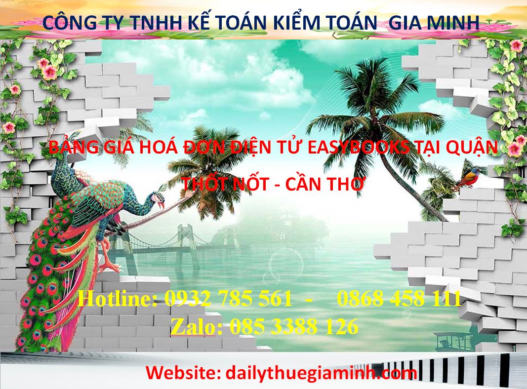 dailythuegiaminh.com bang gia hoa don dien tu easybook tai can tho 8