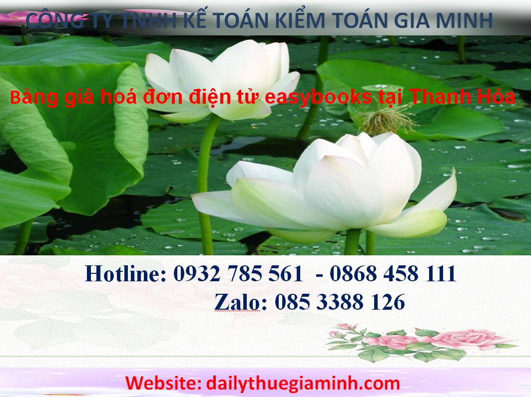 dailythuegiaminh.com bang gia hoa don dien tu easybooks tai thanh hoa