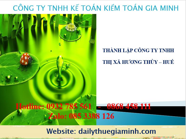 Thành lập công ty TNHH Thị xã Hương Thủy - Huế