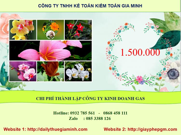 Chi phí thành lập công ty gas tại Huyện Mê Linh