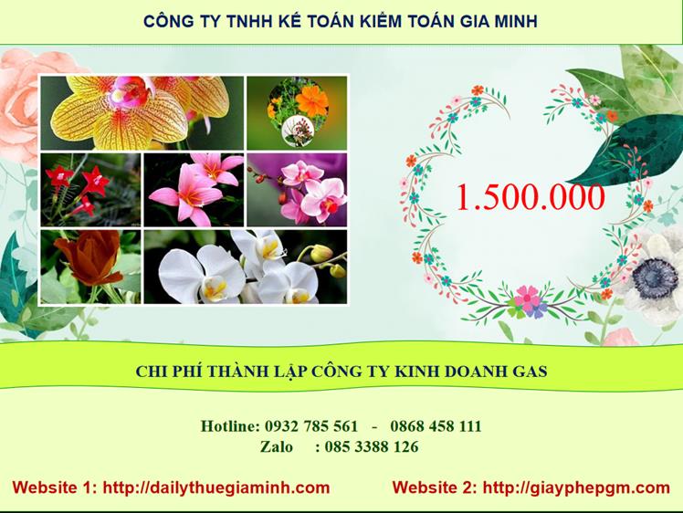 Chi phí thành lập công ty gas tại Quận Tân Phú