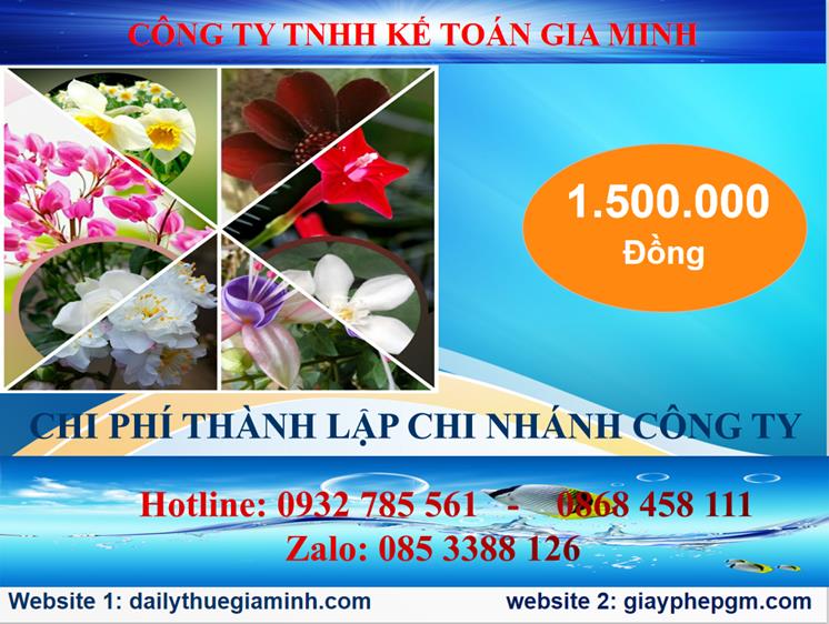 Chi phí thành lập công ty chi nhánh tại Hà Nội