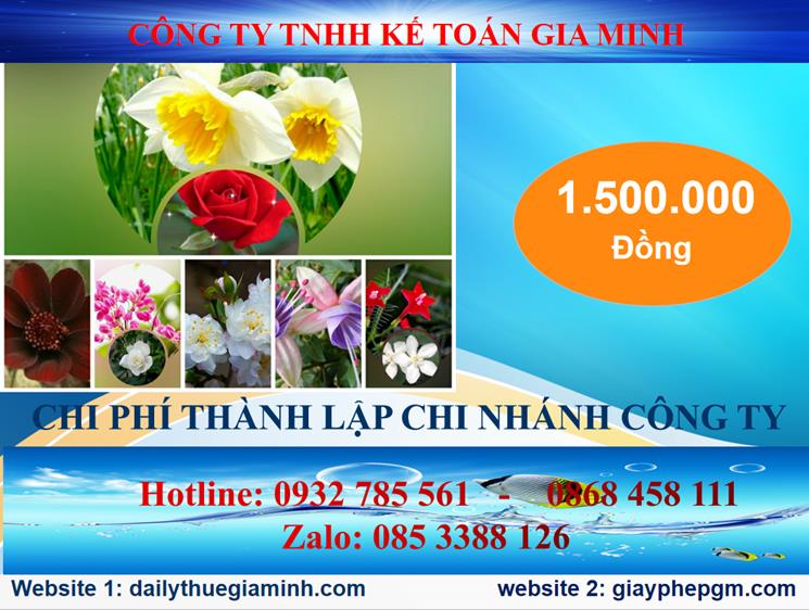 Chi phí thành lập công ty chi nhánh tại Quận 1