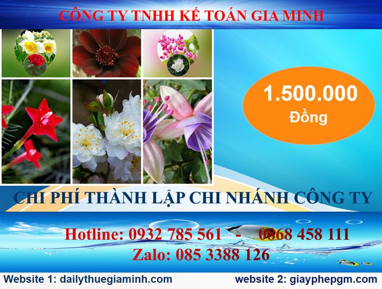 Chi phí thành lập công ty chi nhánh tại Quận 3