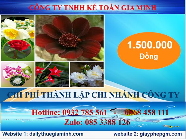 Chi phí thành lập công ty chi nhánh tại Quận 4