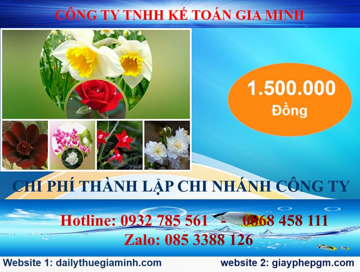 Chi phí thành lập công ty chi nhánh tại Quận 5