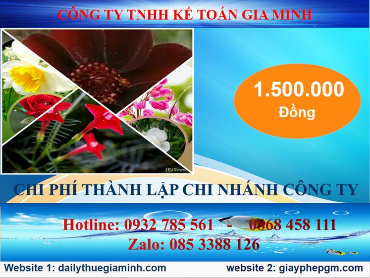 Chi phí thành lập công ty chi nhánh tại Quận Bình Tân