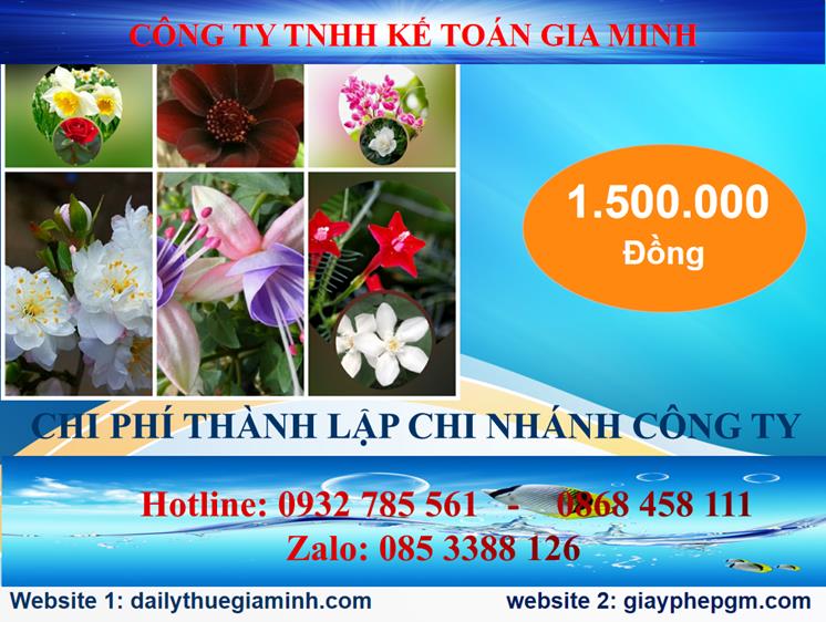 Chi phí thành lập công ty chi nhánh tại Quận Hoàn Kiếm