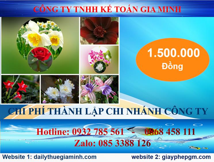Chi phí thành lập doanh nghiệp chi nhánh tại Quận Long Biên
