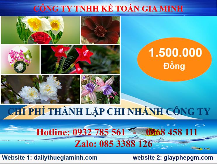 Chi phí thành lập chi nhánh công ty tại Quận Thanh Xuân