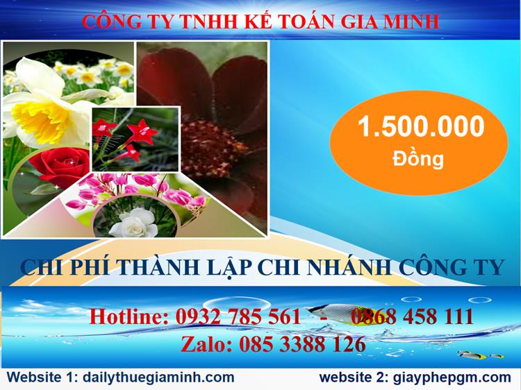 Chi phí thành lập chi nhánh công ty tại TP Hà Nội