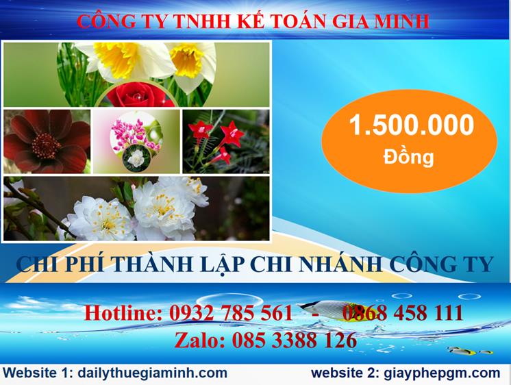 Chi phí thành lập công ty chi nhánh tại Thành phố Hồ Chí Minh