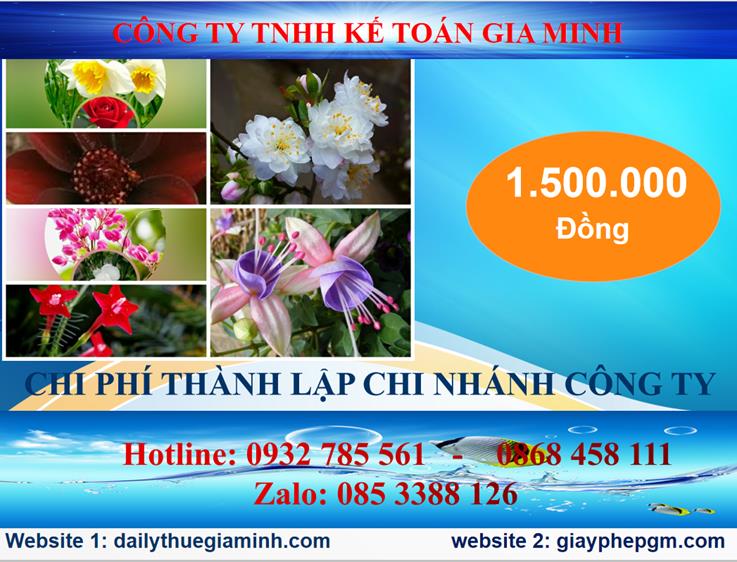 Chi phí thành lập công ty chi nhánh tại TP Hồ Chí Minh