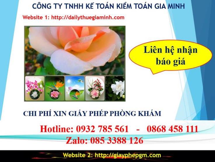 Chi phí xin giấy phép kinh doanh khám chữa bệnh tại Bình Định