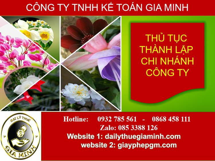 Thủ tục thành lập chi nhánh công ty tại Quận Tân Phú