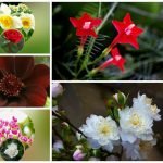Muốn thành lập chi nhánh công ty tại Huyện Sóc Sơn