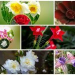 Muốn thành lập công ty chi nhánh tại Quận 2