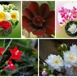 Muốn thành lập công ty chi nhánh tại Quận 4