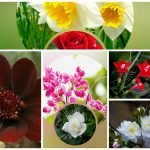 Muốn thành lập công ty chi nhánh tại Quận 5