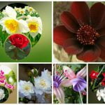 Muốn thành lập công ty chi nhánh tại Quận Bình Tân