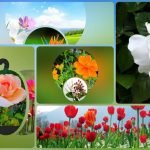 Muốn xin giấy phép kinh doanh khám chữa bệnh tại Bắc Ninh