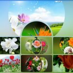 Xin giấy phép kinh doanh khám chữa bệnh tại Huyện Ba Vì Muốn xin giấy phép kinh doanh khám chữa bệnh tại Huyện Ba Vì