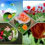 Muốn xin giấy phép kinh doanh khám chữa bệnh tại H. Bình Chánh