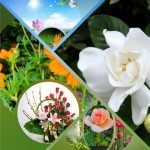 Muốn xin giấy phép kinh doanh khám chữa bệnh tại Huyện Hoài Đức