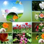 Muốn xin giấy phép kinh doanh khám chữa bệnh tại Huyện Hóc Môn