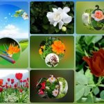Muốn xin giấy phép kinh doanh khám chữa bệnh tại Huyện Mỹ Đứcấy phép kinh doanh khám chữa bệnh tại Huyện Mê Linh