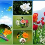 Muốn xin giấy phép kinh doanh khám chữa bệnh tại Huyện Phú Giáo