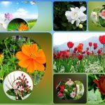 Xin giấy phép kinh doanh khám chữa bệnh tại Huyện Phú Xuyên Muốn xin giấy phép kinh doanh khám chữa bệnh tại Huyện Phú Xuyên