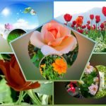 Xin giấy phép kinh doanh khám chữa bệnh tại Huyện Sóc Sơn Muốn xin giấy phép kinh doanh khám chữa bệnh tại Huyện Sóc Sơn