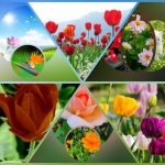 Xin giấy phép kinh doanh khám chữa bệnh tại Huyện Thanh Oai Muốn xin giấy phép kinh doanh khám chữa bệnh tại Huyện Thanh Oai