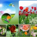 Xin giấy phép kinh doanh khám chữa bệnh tại Huyện Thường Tín Muốn xin giấy phép kinh doanh khám chữa bệnh tại Huyện Thường Tín