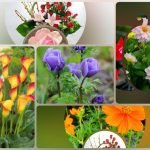 Xin giấy phép kinh doanh khám chữa bệnh tại Kon Tum Muốn xin giấy phép kinh doanh khám chữa bệnh tại Kon Tum