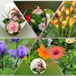 Muốn xin giấy phép kinh doanh khám chữa bệnh tại Nghệ An