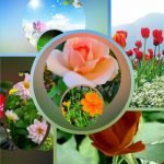 Muốn xin giấy phép kinh doanh khám chữa bệnh tại Quận 12