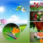 Muốn xin giấy phép kinh doanh khám chữa bệnh tại Quận 3