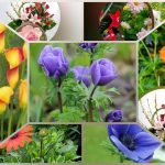 Muốn xin giấy phép kinh doanh khám chữa bệnh tại Quận 9