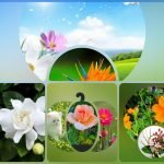 Muốn xin giấy phép kinh doanh khám chữa bệnh tại Quận Bình Tân