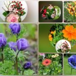 Muốn xin giấy phép kinh doanh khám chữa bệnh tại Quận Cầu Giấy