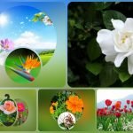 Muốn xin giấy phép kinh doanh khám chữa bệnh tại Quận Gò Vấp