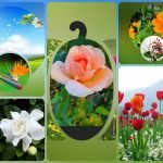 Muốn xin giấy phép kinh doanh khám chữa bệnh tại Q. Hai Bà Trưng