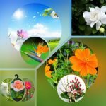 Muốn xin giấy phép kinh doanh khám chữa bệnh tại Q. Hoàn Kiếm