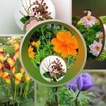 Muốn xin giấy phép kinh doanh khám chữa bệnh tại Thừa Thiên Huế