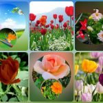 Muốn xin giấy phép kinh doanh khám chữa bệnh tại Trà Vinh