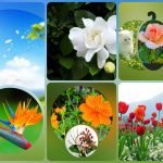 Xin giấy phép kinh doanh khám chữa bệnh tại Vĩnh Phúc Muốn xin giấy phép kinh doanh khám chữa bệnh tại Vĩnh Phúc